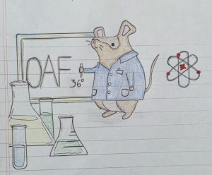 061