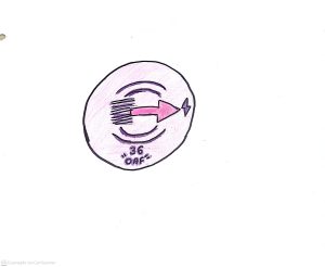 080